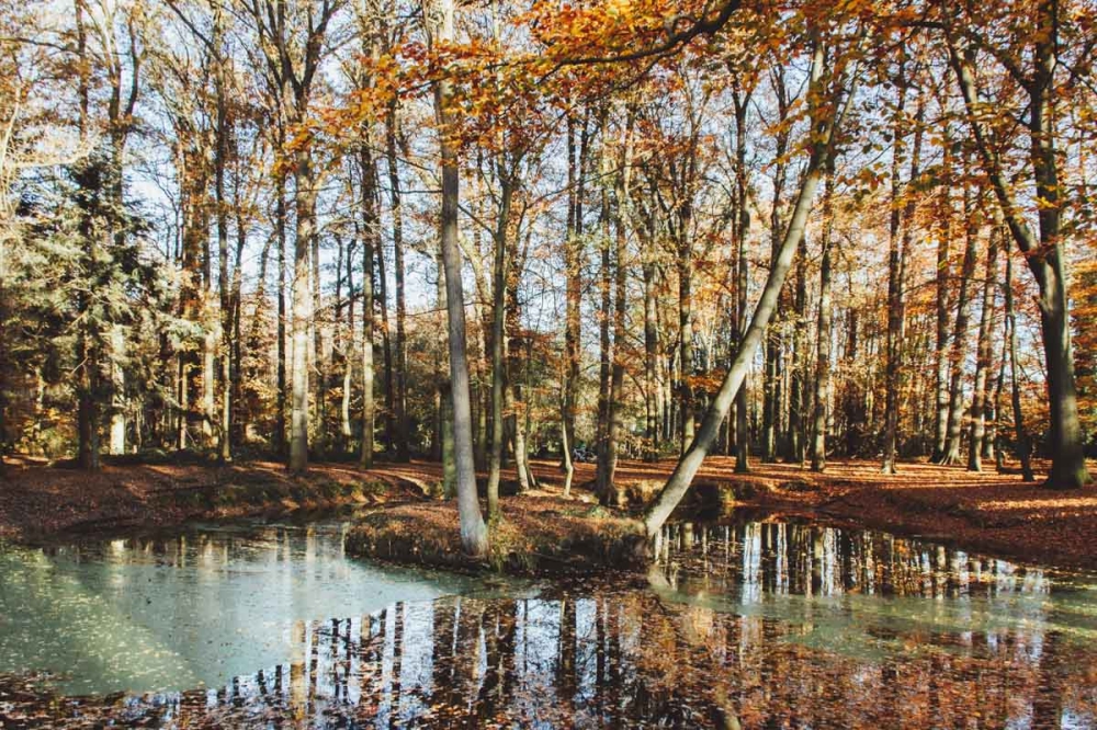 Haalbaarheidsstudie hergebruik afvalwater Natura 2000 